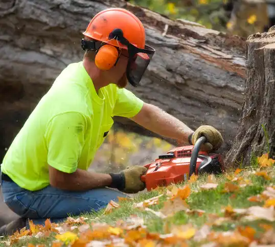 tree services Choteau